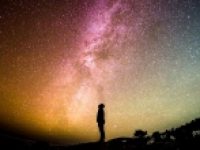 「要素還元主義による単一病因論」ピロリ菌は胃癌の原因なのか？