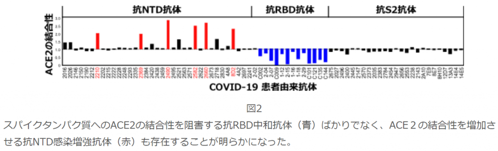 新型コロナウイルス変異株「抗体依存性感染増強の懸念」