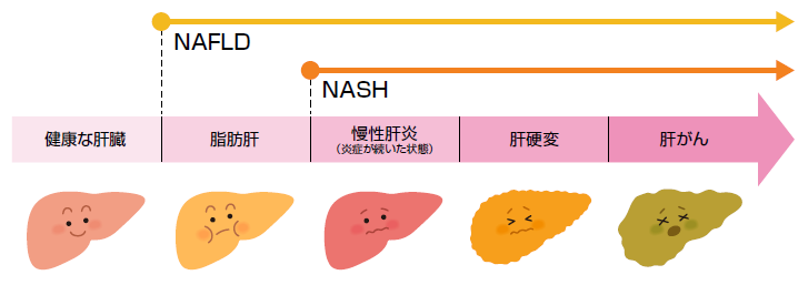 「慢性炎症」肥満と糖化によるリスク