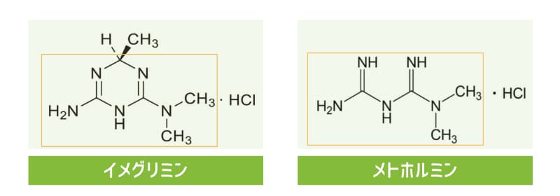 ２型糖尿病の新薬「ツイミーグ」メトホルミンを超えられるのか？