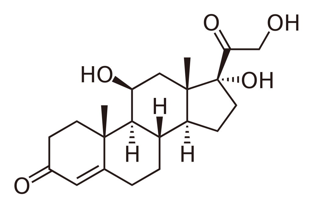「コレステロールとホルモン合成」動脈硬化は血管の慢性炎症
