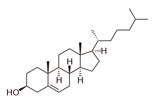 「コレステロールとホルモン合成」動脈硬化は血管の慢性炎症