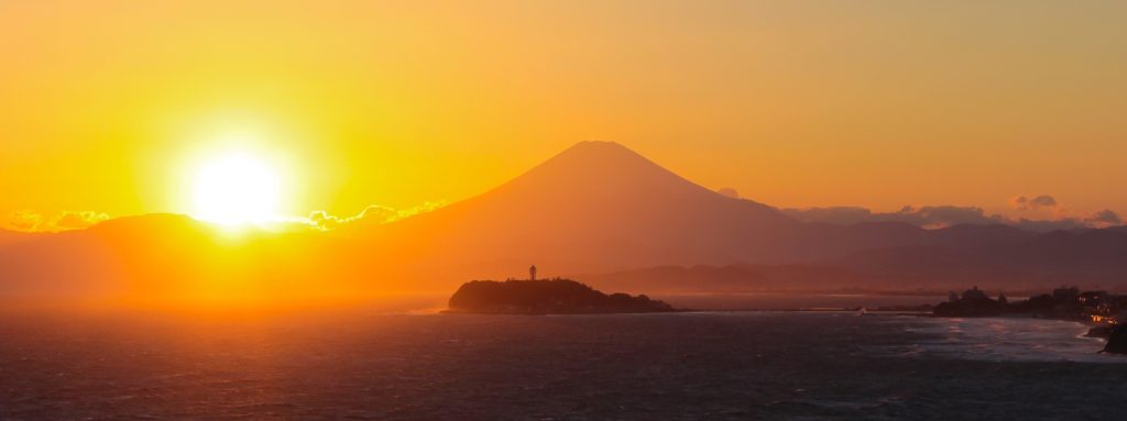 「マクロファージ」体内掃除と免疫力