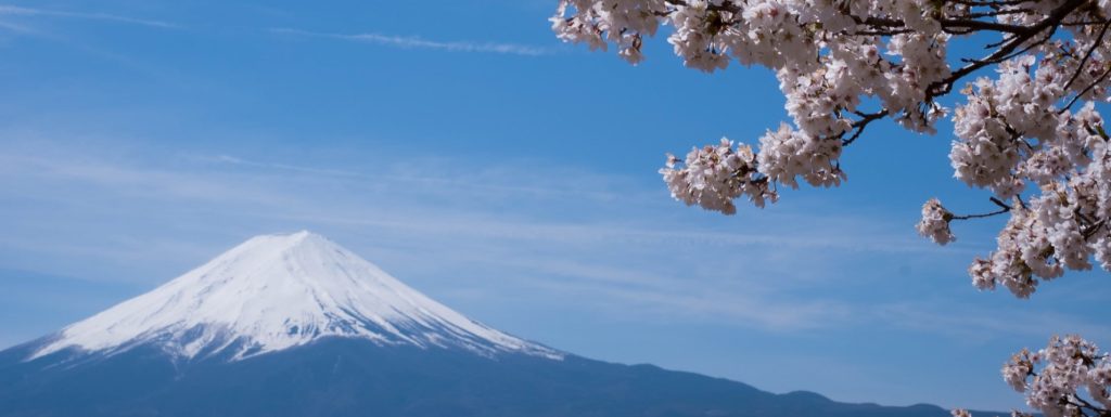 「コレステロールとホルモン合成」動脈硬化は血管の慢性炎症