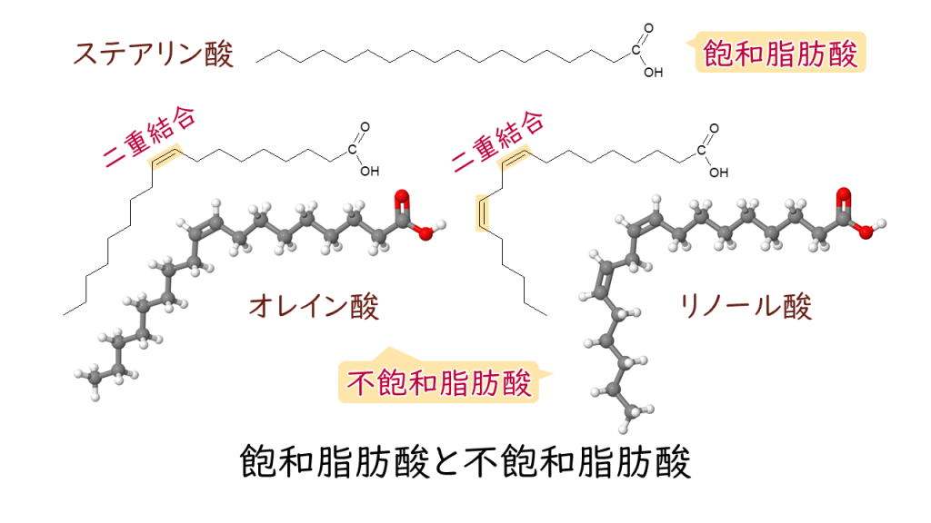 「脂質クオリティと生命現象」脂肪酸の種類と特徴