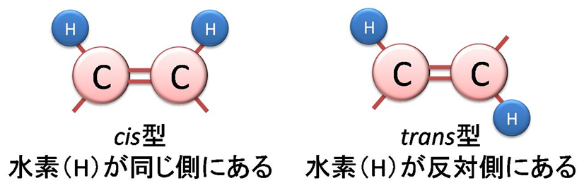 「脂質クオリティと生命現象」脂肪酸の種類と特徴