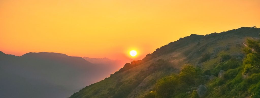 「動脈硬化の真の原因」コレステロールではなく脂肪酸
