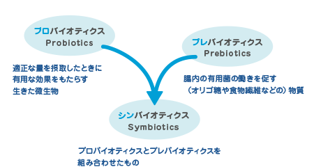 腸内細菌叢（マイクロバイオーム）共生とエネルギー代謝制御　