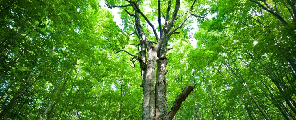 「健康と病気」動的な複合適応状態