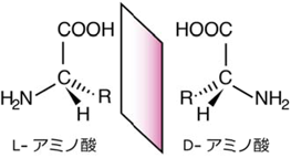 生命のホモキラリティーとD-アミノ酸