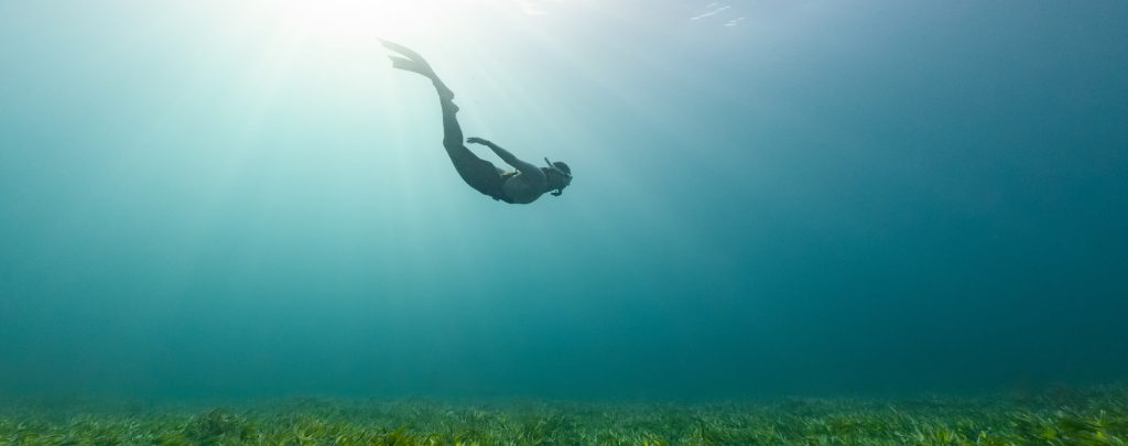 生体水の秩序性「EZ水」