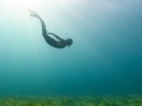 生体水の秩序性「EZ水」