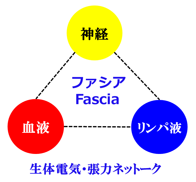 Holistic Care つながり　ホリスティック　大阪